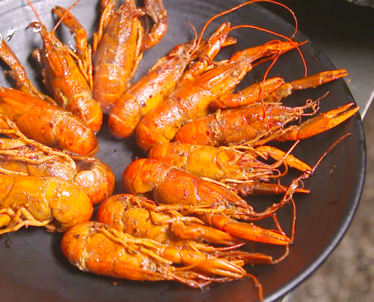 흑백요리사 흑수저 셰프, 식당 총정리