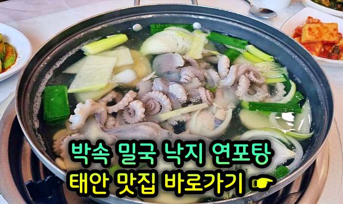 생방송 투데이 충남 태안 낙지 한상 박속밀국낙지탕 맛집
