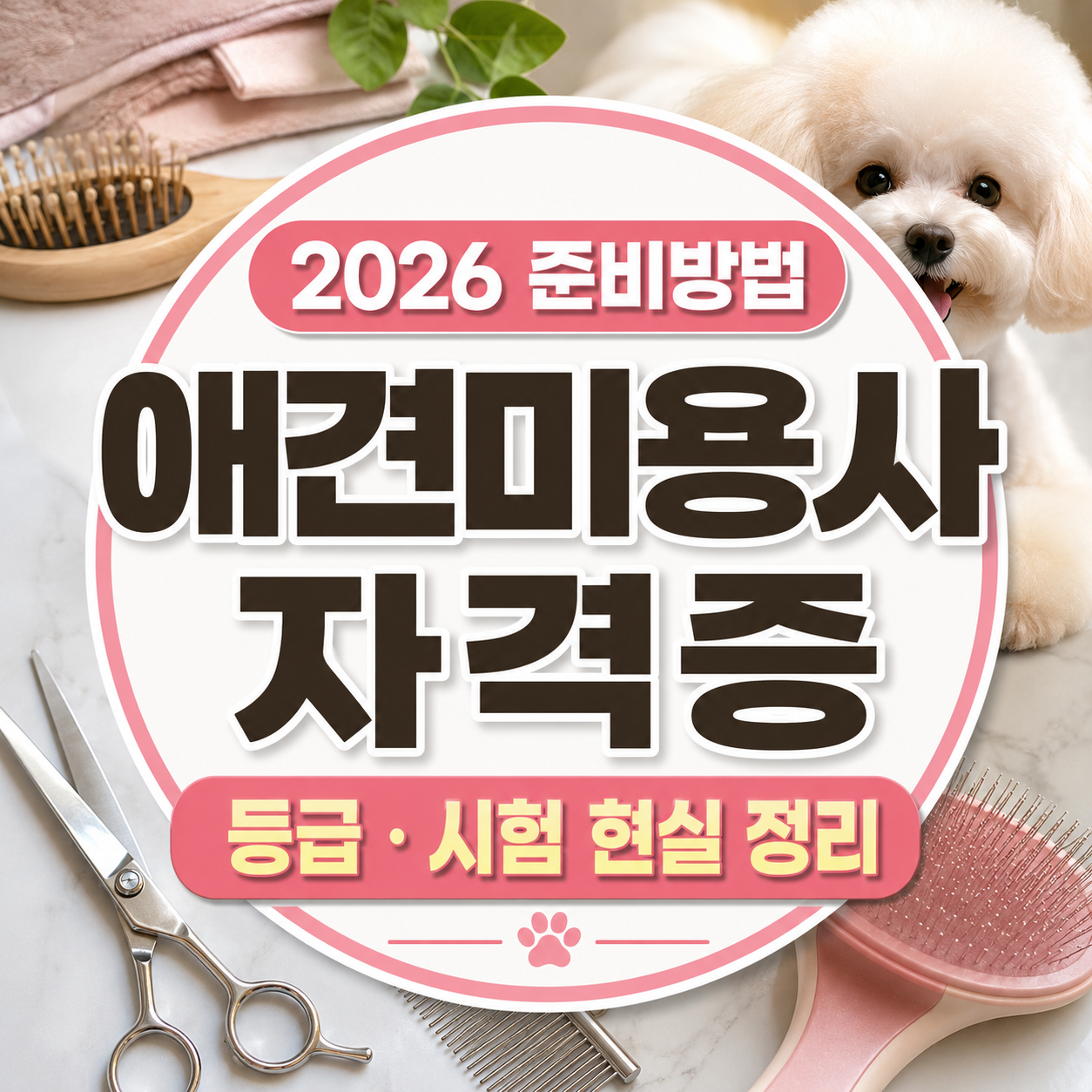 2026 애견미용사 자격증 준비방법|등급 차이와 시험과목 현실 정리