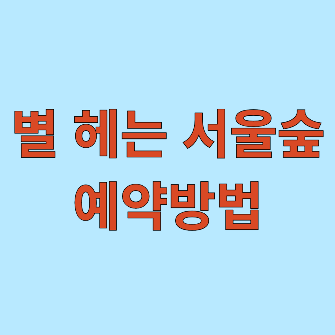 별 헤는 서울숲