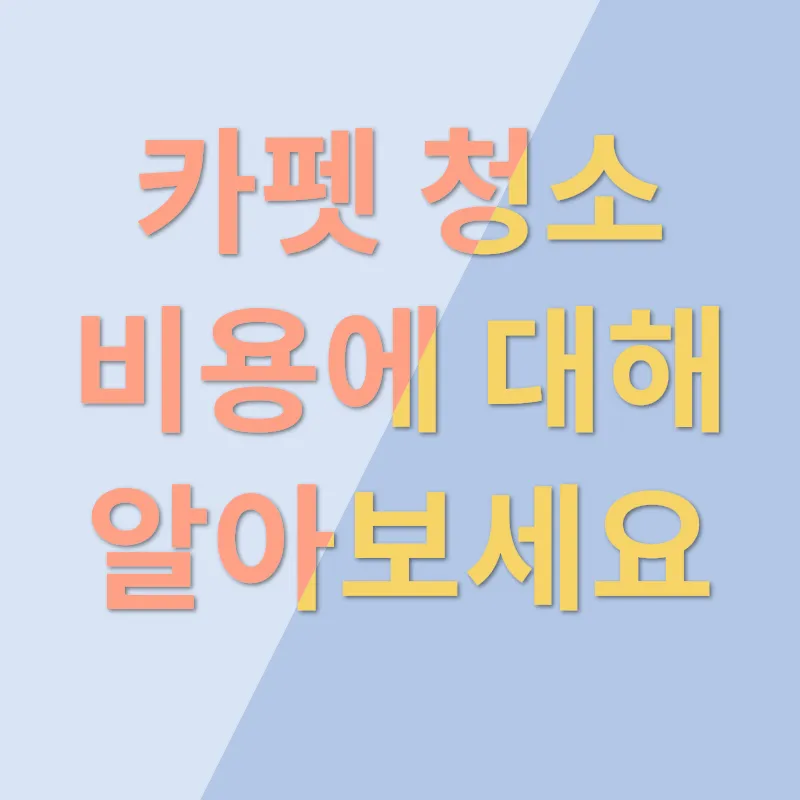 사무실 카펫 청소_1