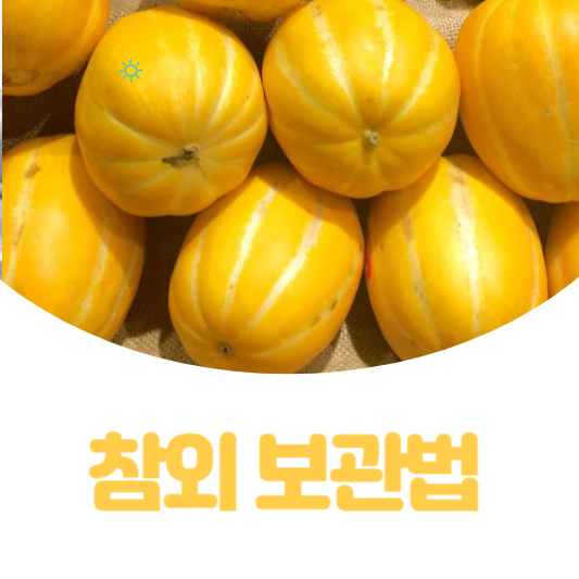 참외 보관법