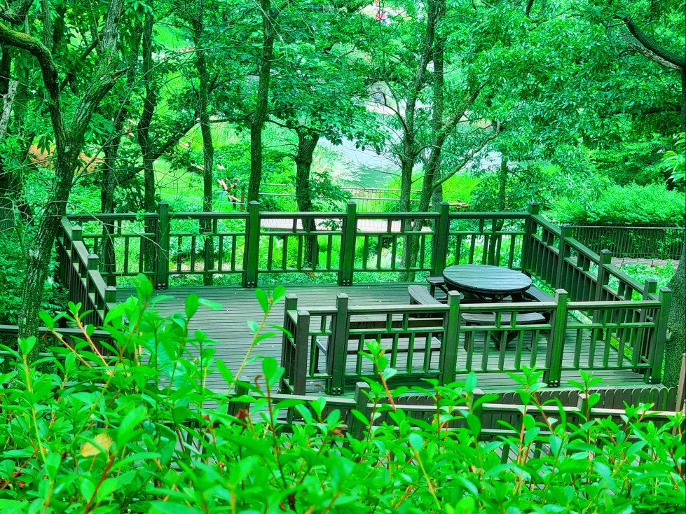 파주 여행: 싱그러운 율곡수목원(무료 관람), 근처 맛집 구워주는 갈빗집