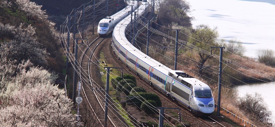 경남 원동 매화 축제