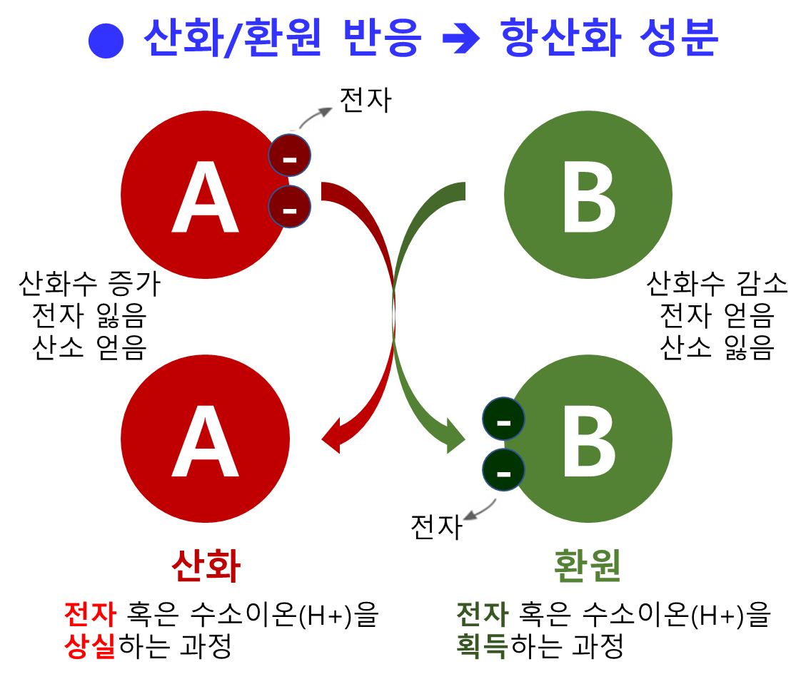 산화/환원