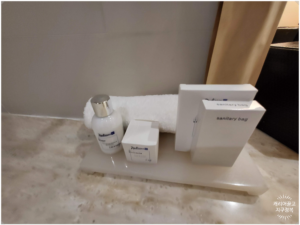 세부시티 레디슨 블루 호텔