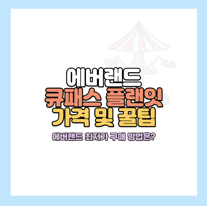 에버랜드 큐패스 가격