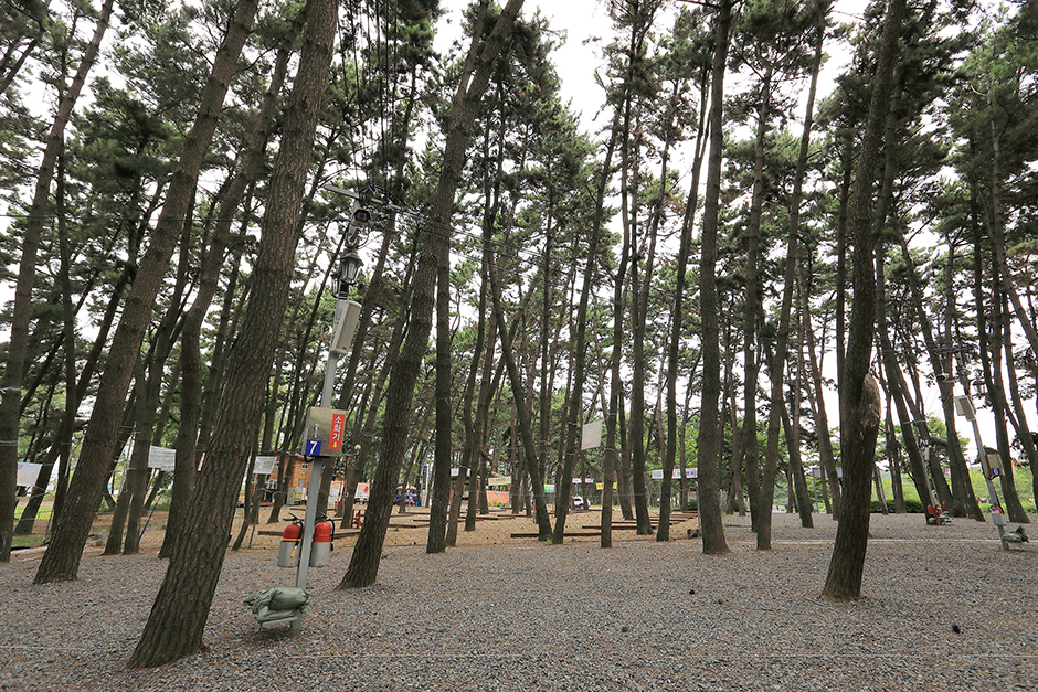 서천군 춘장대 나드리캠핑장 소개