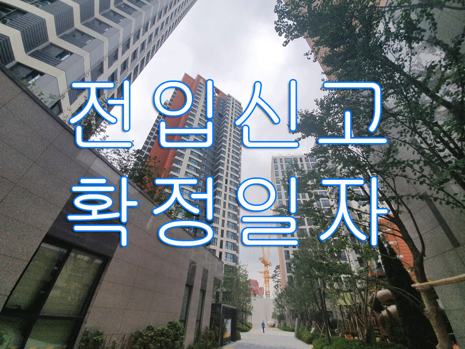 전입신고 안 하면 생기는 불이익 총정리