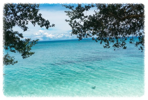 세부 파라다이스 비치