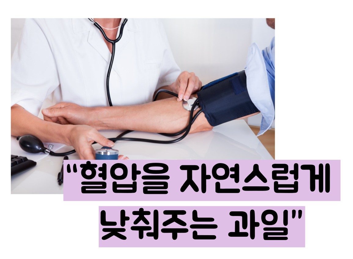 블루베리 효능