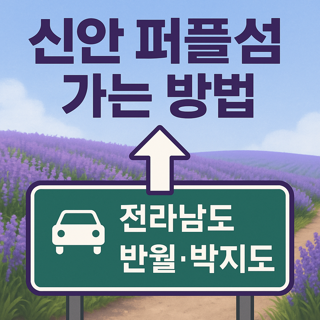 신안 퍼플섬 가는 방법