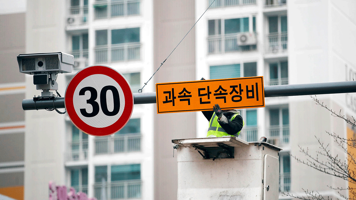 8월부터 무조건 찍힙니다! 번호판 가림부터 주차까지 바뀐 과태료 기준 총정리