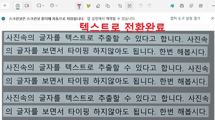 캡처도구에 변환된 텍스트 보임