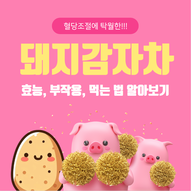 돼지감자차 효능 부작용 먹는 법 알아보기