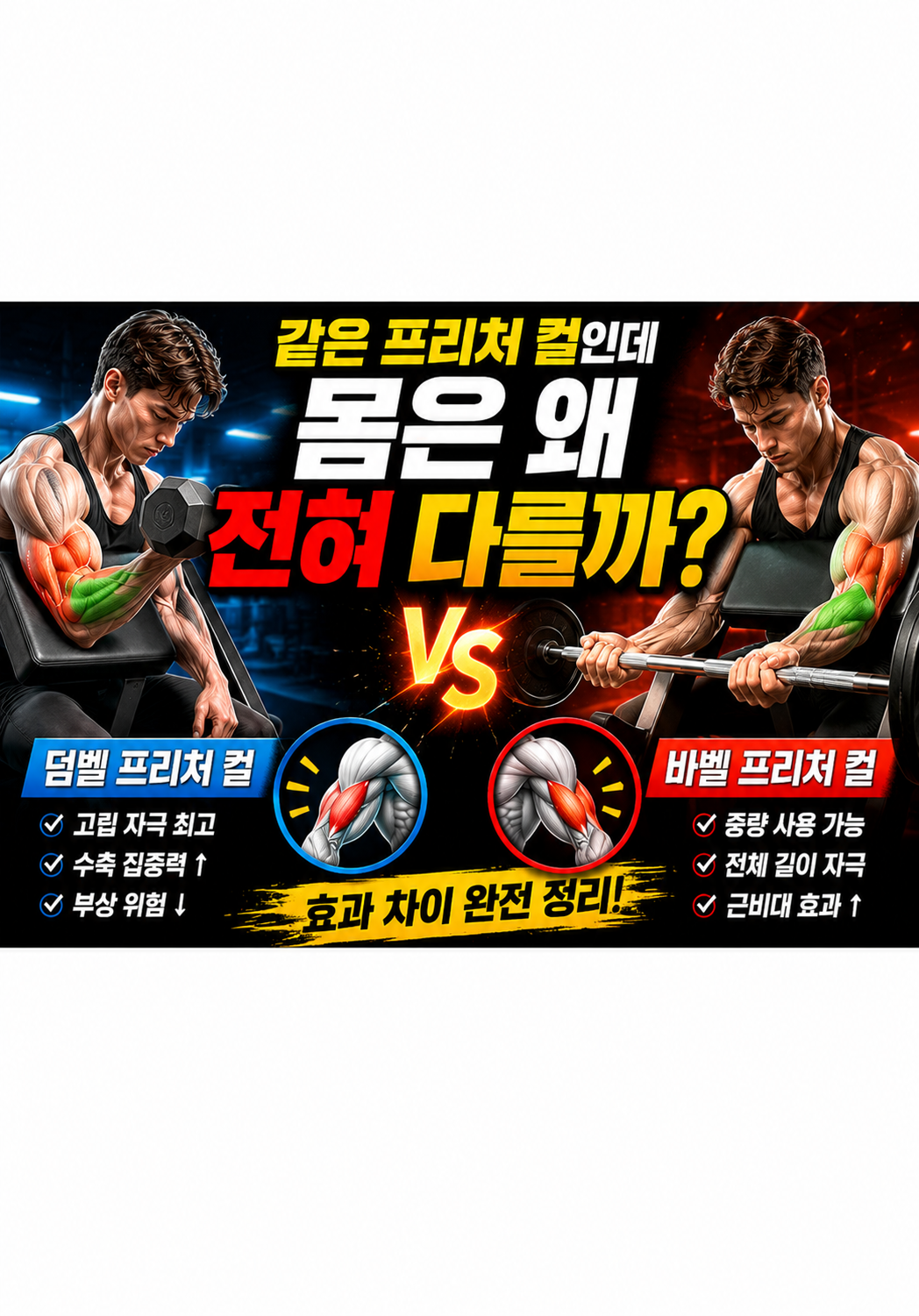 덤벨 프리처 컬 vs 바벨 프리처 컬:왜 같은 프리처 컬인데 몸은 전혀 다르게 기억할까