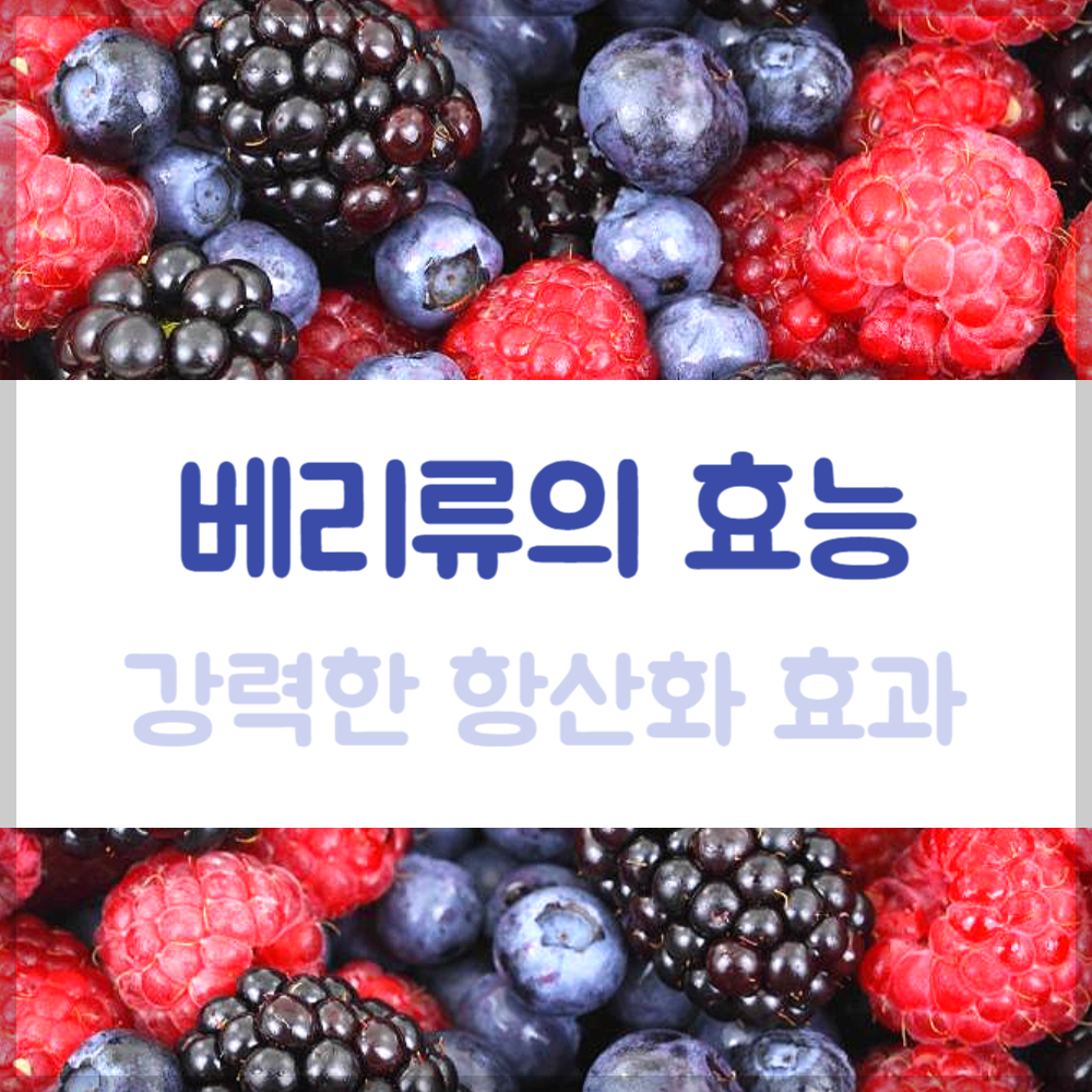 베리류의 효능, 강력한 항산화 효과