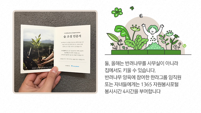 둘, 올해는 반려나무를 사무실이 아니라 집에서도 키울 수 있습니다. 반려나무 양육에 참여한 한라그룹 임직원 또는 자녀들에게 1365 자원봉사포털 봉사시간 4시간을 부여합니다.