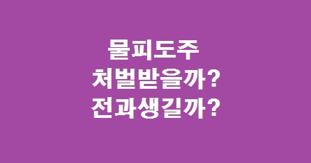 물피도주 전과