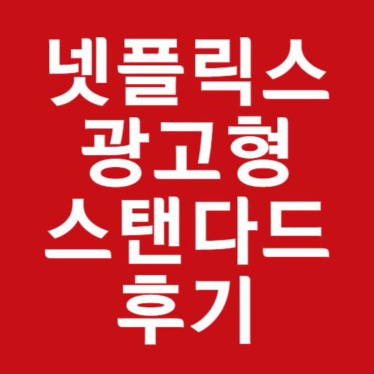 넷플릭스 광고형 스탠다드 후기