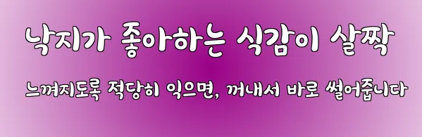  낙지가 좋아하는 식감이 살짝 느껴지도록 적당히 익으면, 꺼내서 바로 썰어줍니다