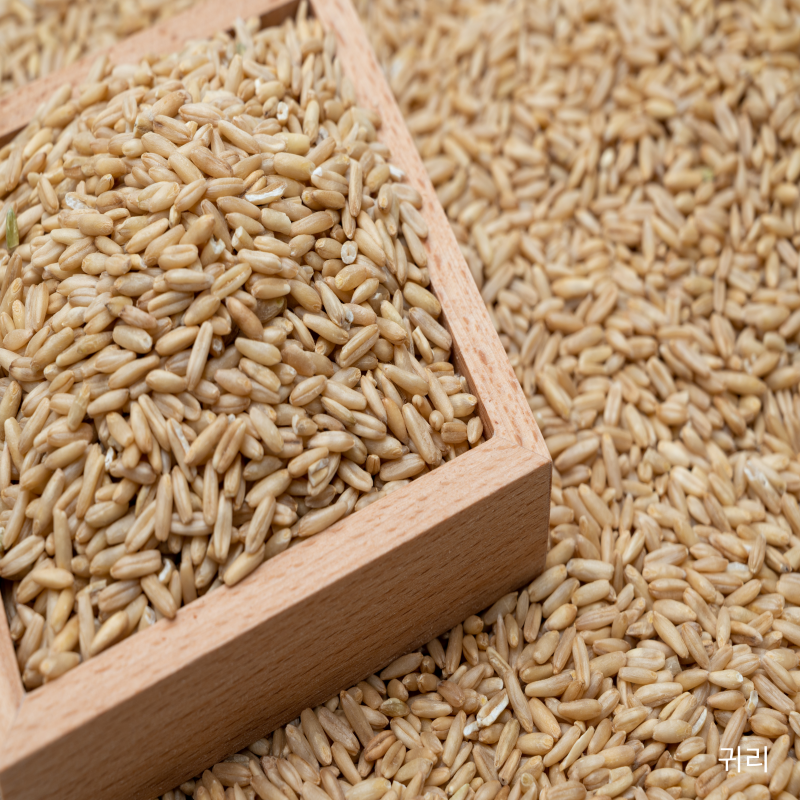 귀리 먹는법 효능 밥짓기 오트밀 귀리밥