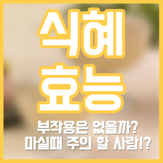 식혜 효능, 소화제!? 마실 때 주의할 사람!? 칼로리!?