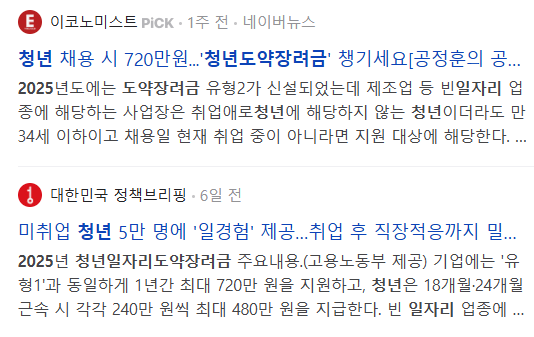 청년일자리 도약장려금 관련 기사들