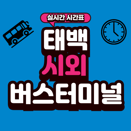 태백 시외버스터미널 시간표