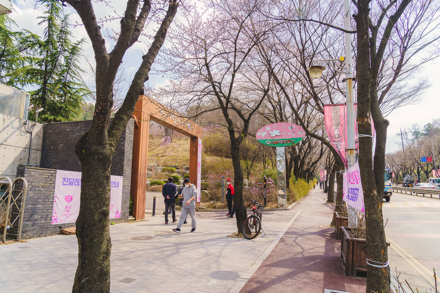 원미산 진달래축제