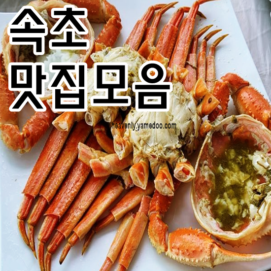 속초 맛집
