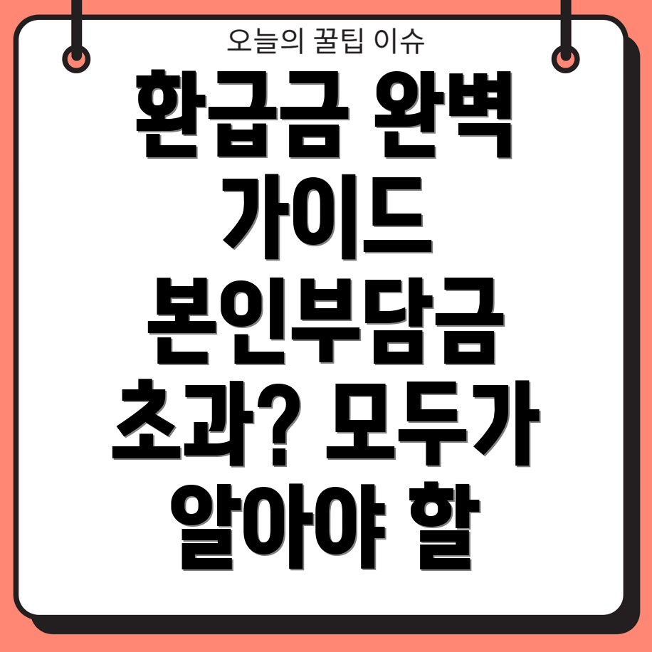본인부담 상한액 초과금