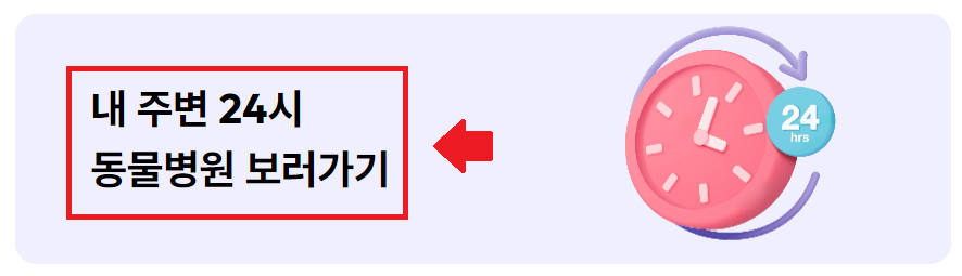 24시 동물병원 찾기 (내 근처 동물병원 찾기)