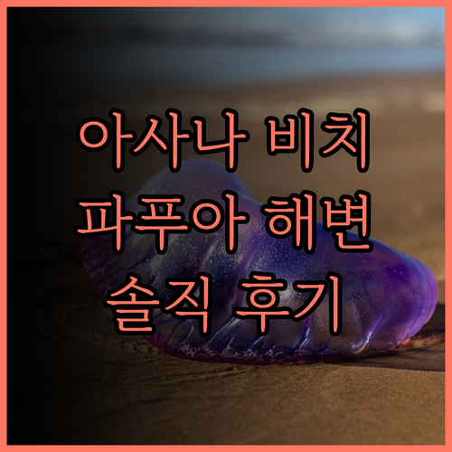 아사나 비아크 파푸아, 해변과 함께하