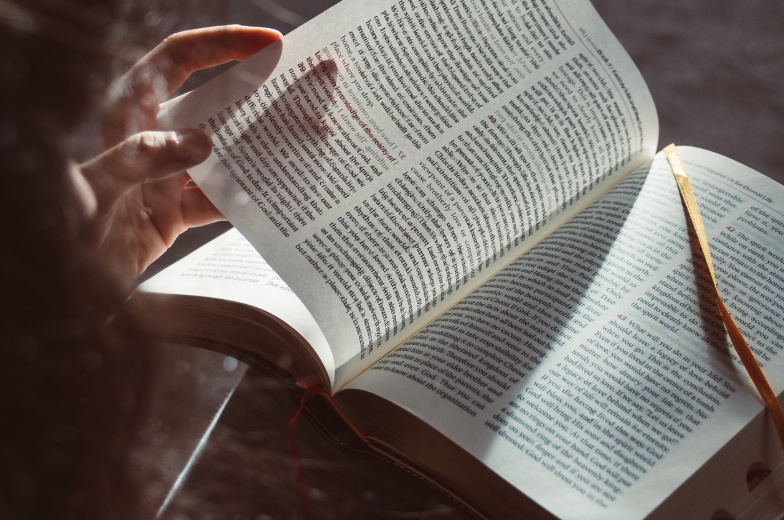 유명시인 신작 흐름 사진