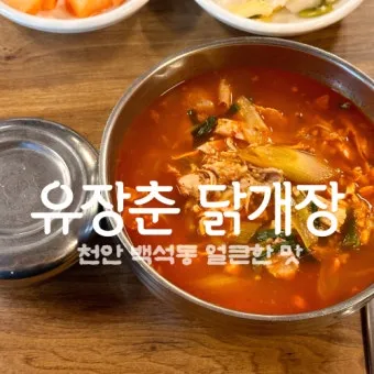 닭개장 맛있게 끓이는 법과 깊은 국물 내는 방법_14