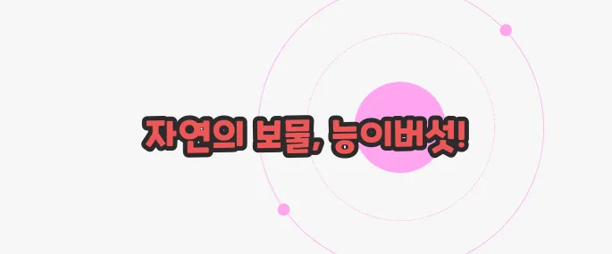 능이버섯 효능 궁금한 점, 풀어보죠