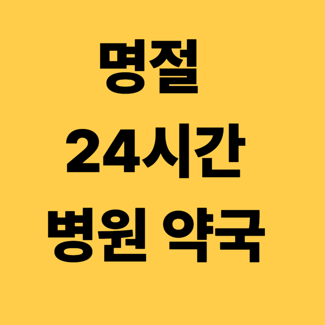 명절24시간 병원