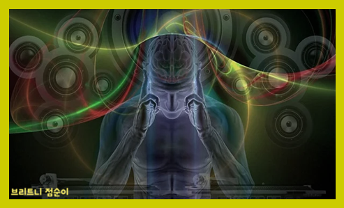 뇌파검사의 목적 뇌파검사 비용