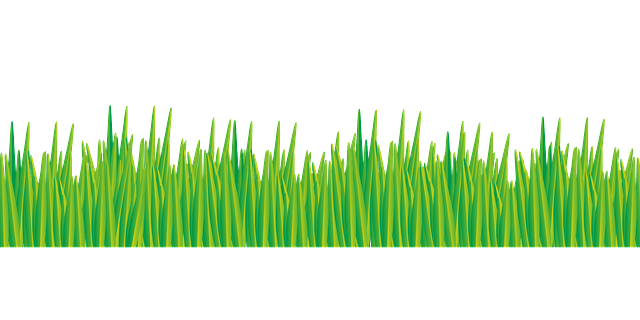 나만 알고 싶은