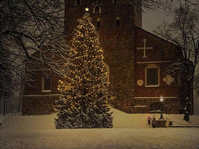 연말 크리스마스 이미지