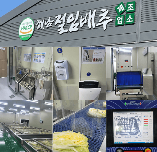 김장 절임 배추 20kg 가격 비교 추천