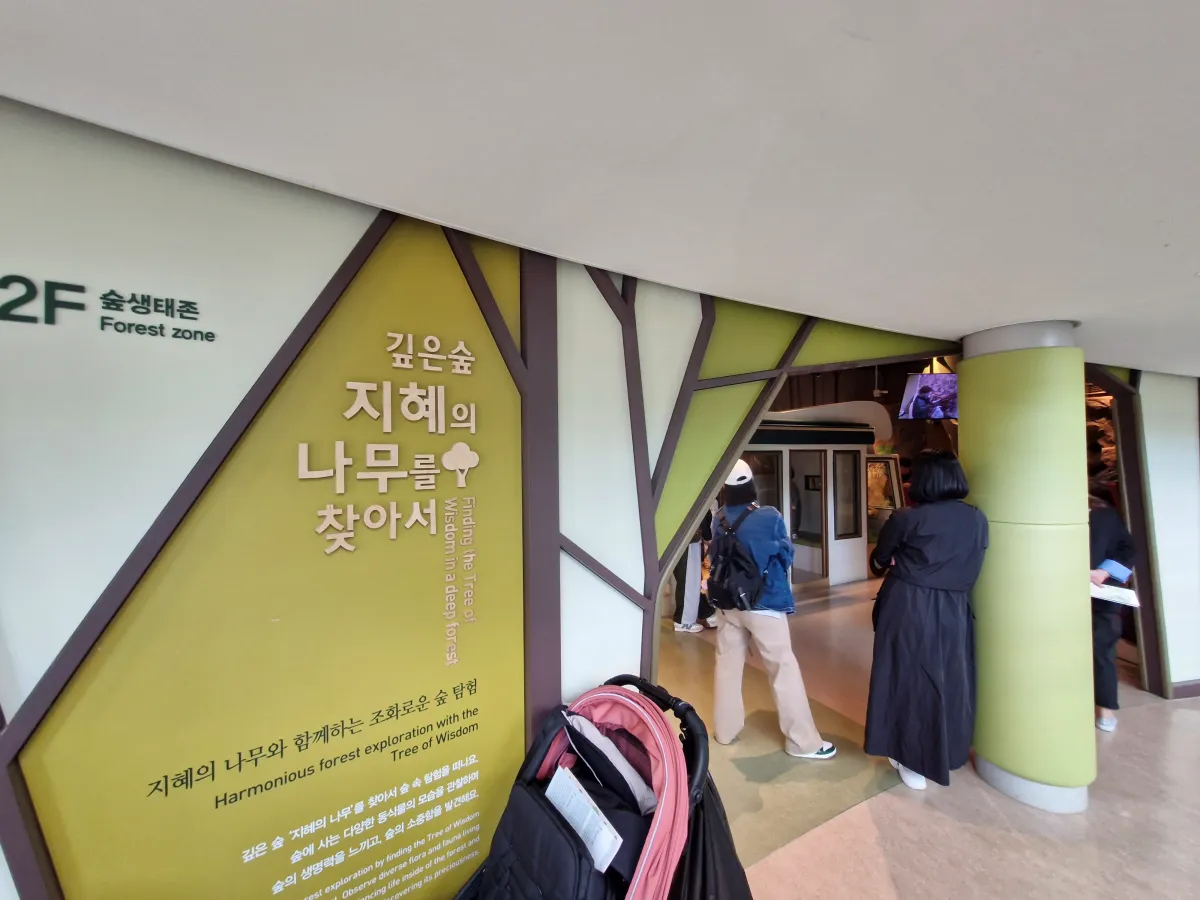 2층-테마-깊은숲-지혜의나무-출입구