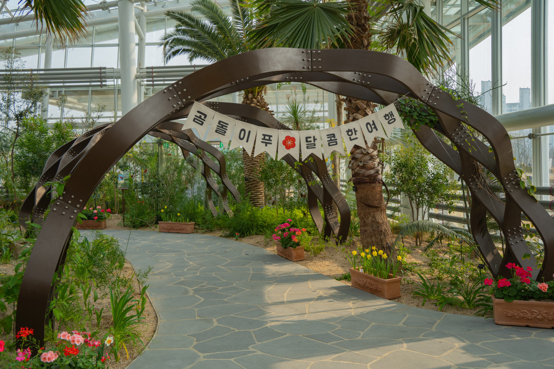 일월 수목원 탐방로