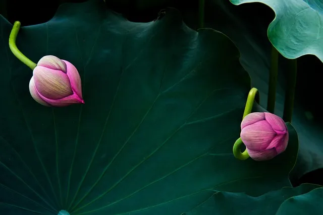 좇다 쫓다 맞춤법 맞는 표현 예문_5