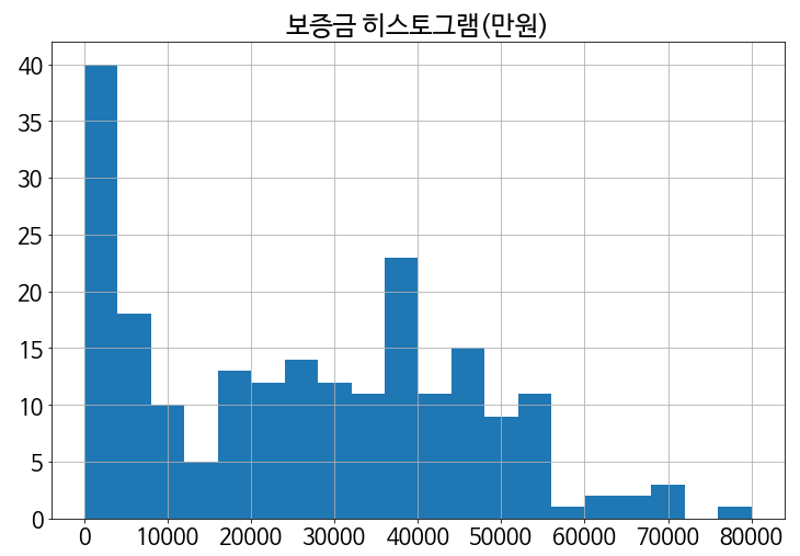 보증금-히스토그램-출력-결과