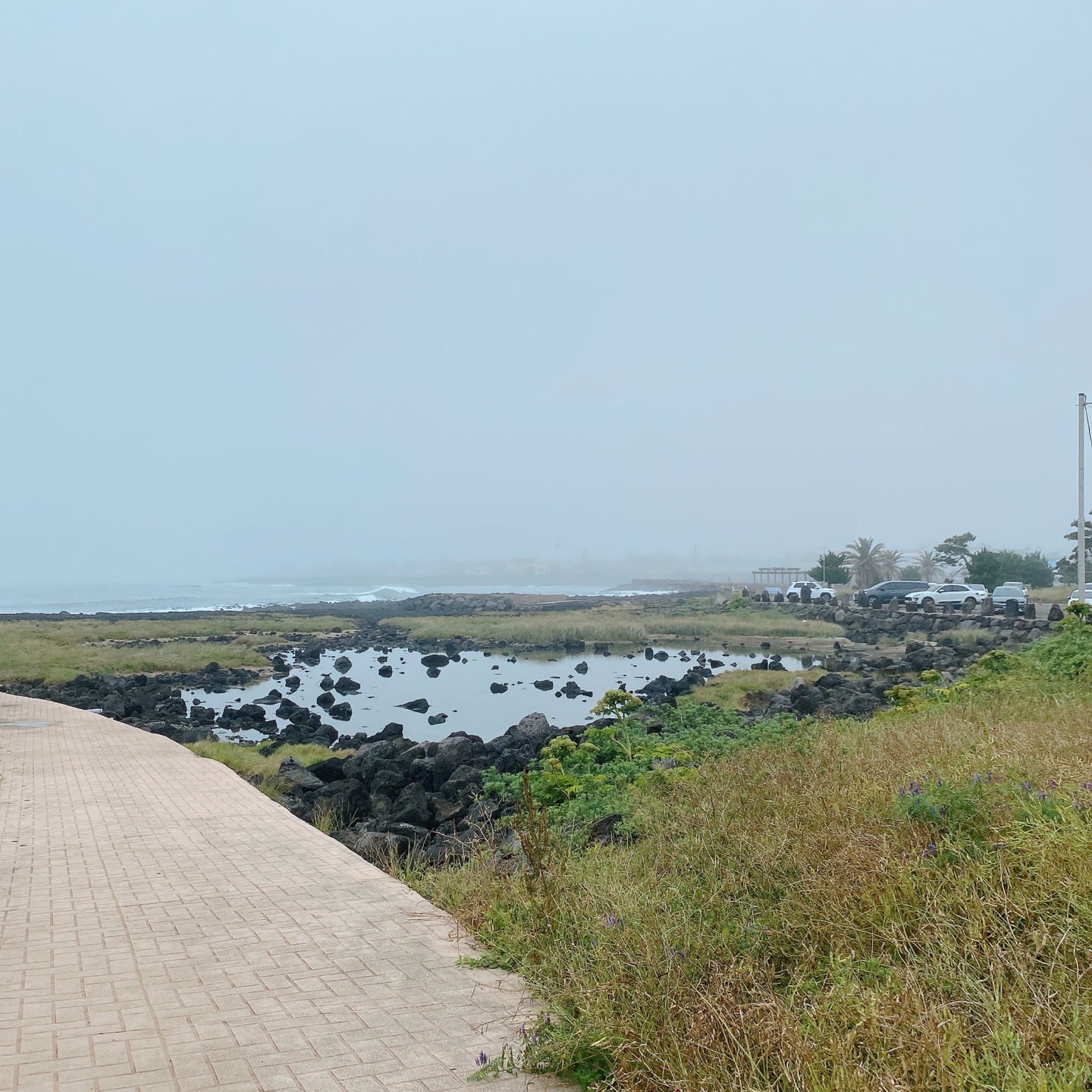 제주 서귀포 대정 서림연대 인스밀 곡물창고 개조카페 in's mill 보리개역 보리 청보리 제주 특산물