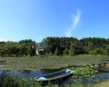 천리포수목원 숙박안내, 목련축제_9
