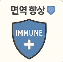 마그네슘 효능