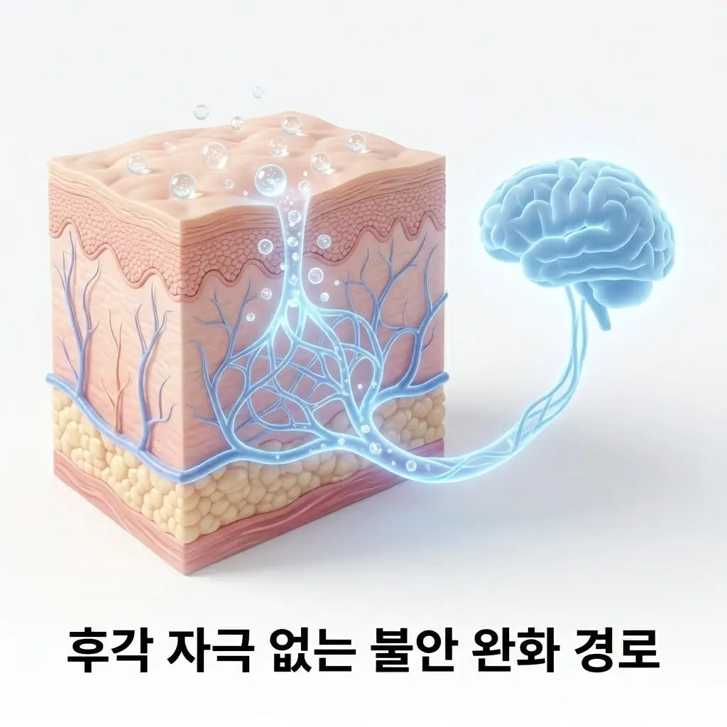 후각 자극 없이도 불안 반응이 낮아지는 이유